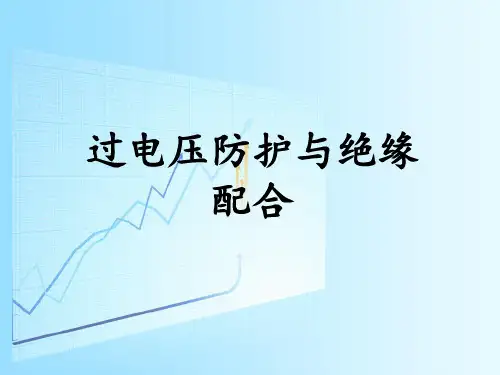 高电压技术-防雷接地保护