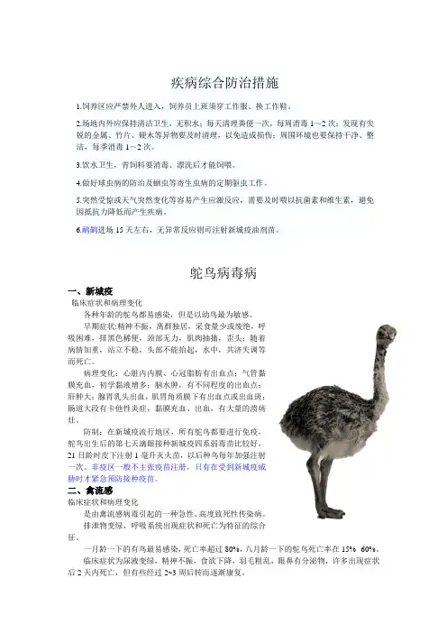 鸵鸟疾病综合防治措施