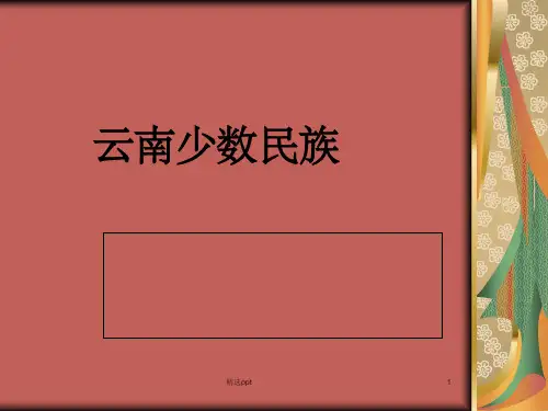《云南少数民族》PPT课件