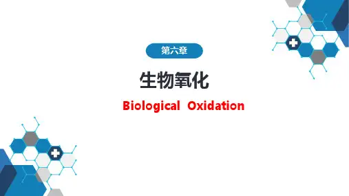 人民卫生出版社《生物化学》第六章  生物氧化