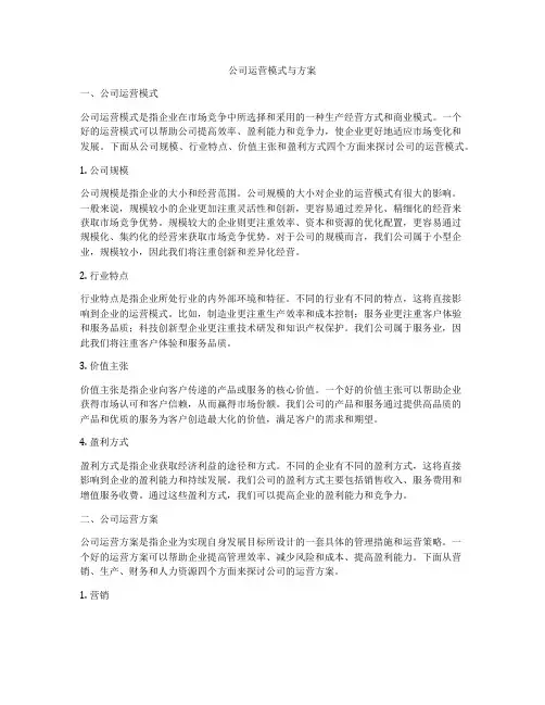 公司运营模式与方案