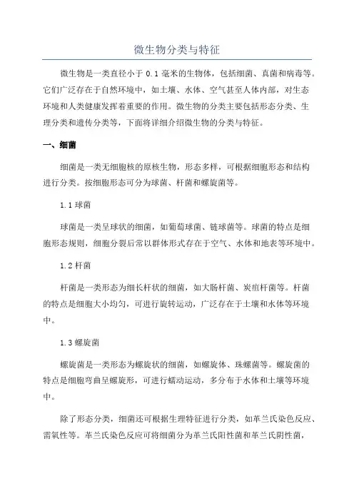 微生物分类与特征