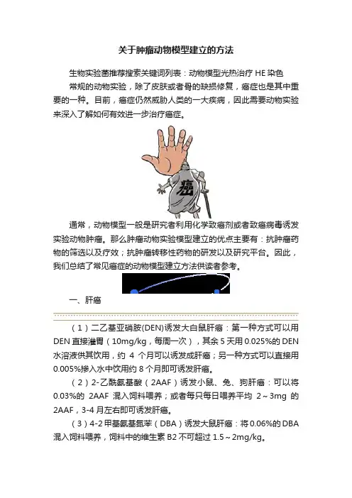 关于肿瘤动物模型建立的方法