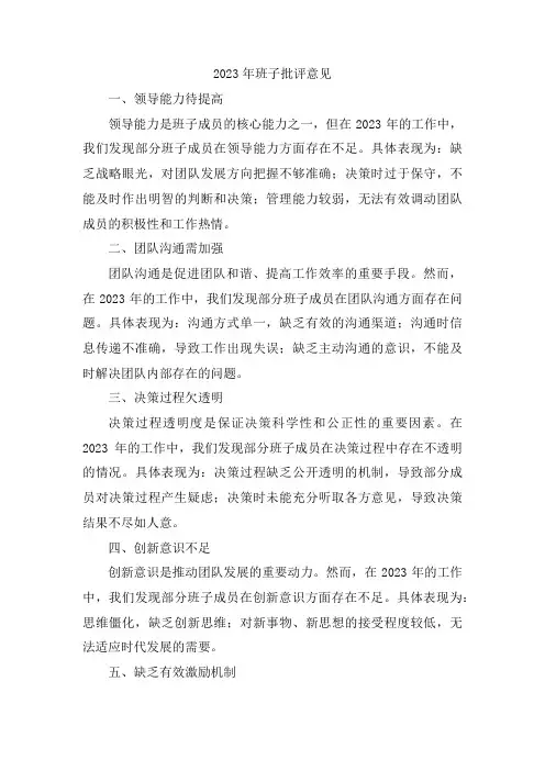 2023年班子批评意见
