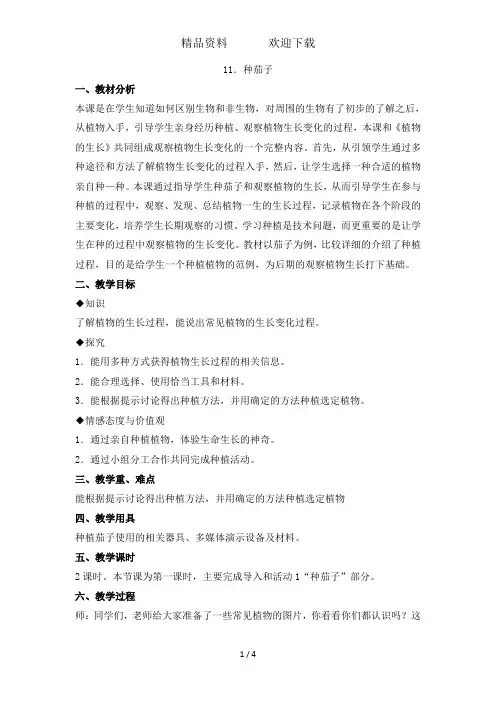 四年级下科学教案种茄子_冀教版