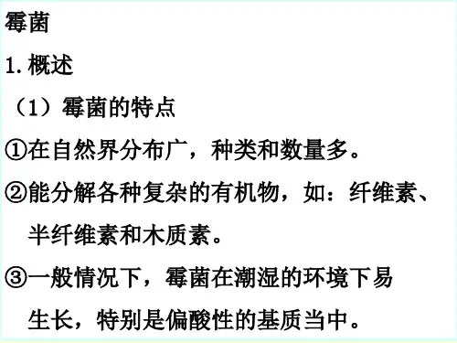 霉菌PPT演示幻灯片
