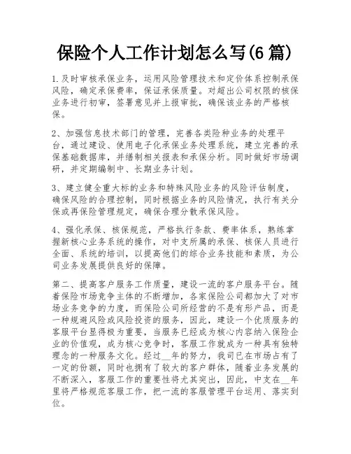 保险个人工作计划怎么写(6篇)