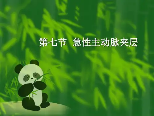 第七节  急性主动脉夹层