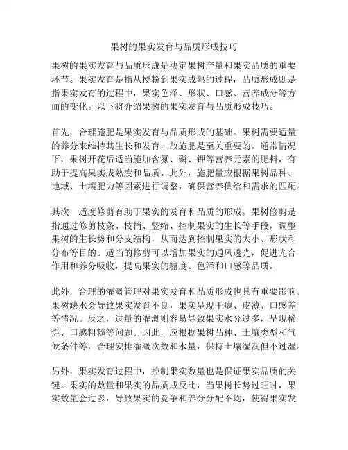 果树的果实发育与品质形成技巧