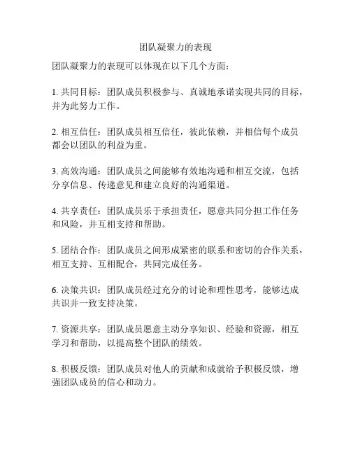 团队凝聚力的表现