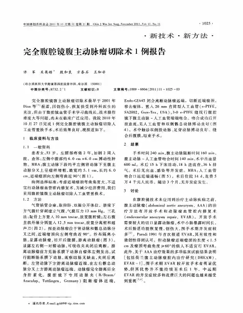 完全腹腔镜腹主动脉瘤切除术1例报告
