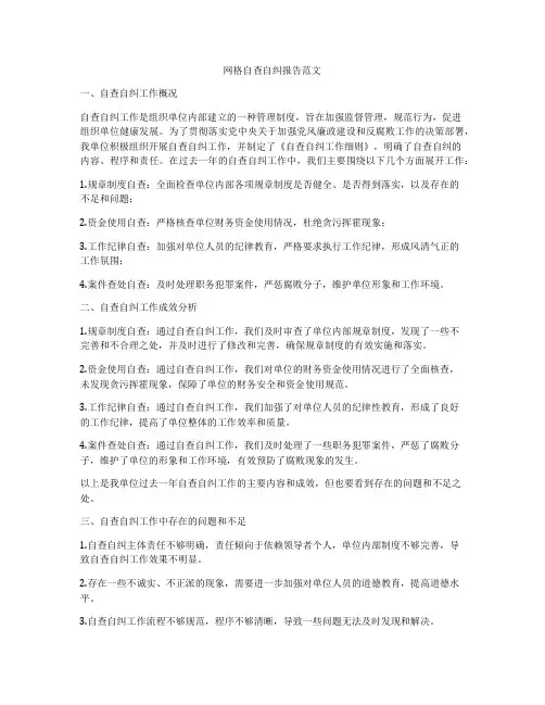 网格自查自纠报告范文