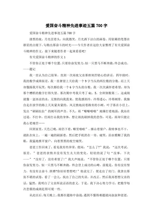 爱国奋斗精神先进事迹五篇700字