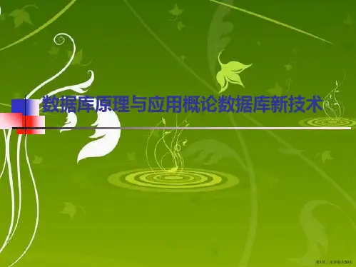 数据库原理与应用概论数据库新技术