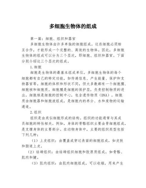 多细胞生物体的组成3篇