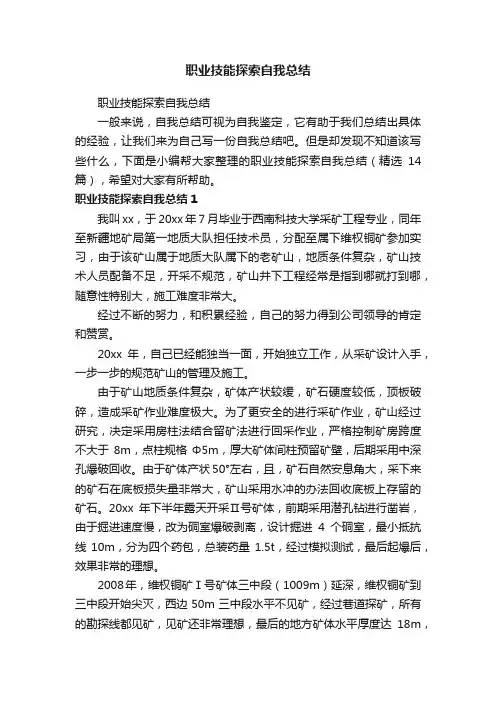 职业技能探索自我总结（精选14篇）