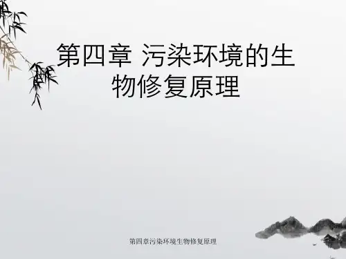 第四章污染环境生物修复原理