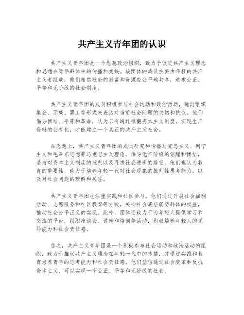 共产主义青年团的认识