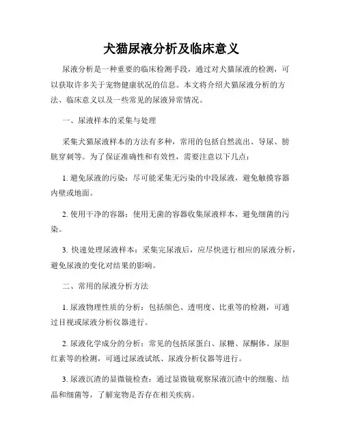 犬猫尿液分析及临床意义