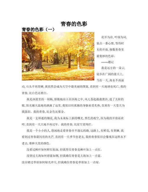 青春的色彩(共10篇)