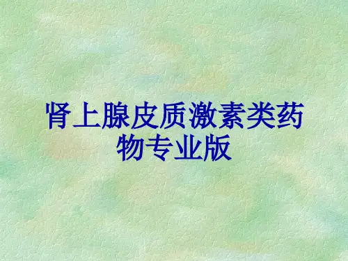 肾上腺皮质激素类药物专业版
