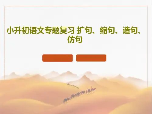 小升初语文专题复习 扩句、缩句、造句、仿句PPT文档22页