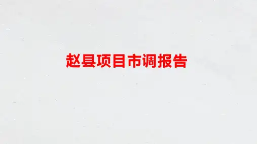 赵县市调2020年10月