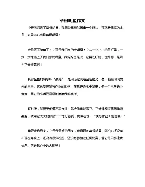 草根明星作文