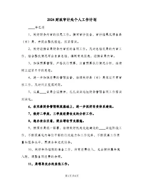 2024财政审计处个人工作计划(4篇)