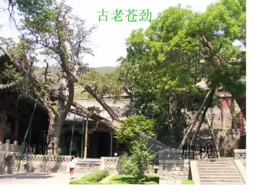 晋祠PPT