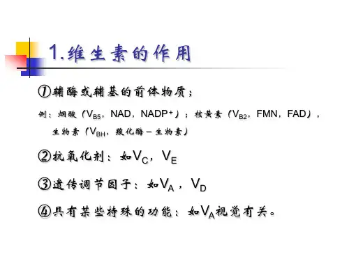 第七章维生素ppt课件