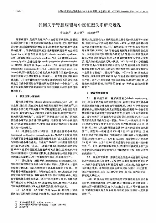 我国关于肾脏病理与中医证型关系研究近况