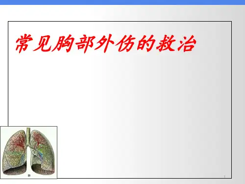 常见胸部外伤的救治  ppt课件