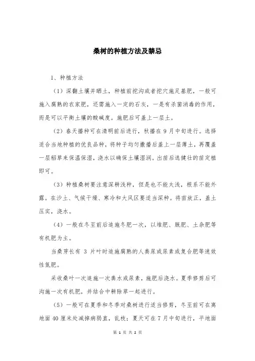 桑树的种植方法及禁忌