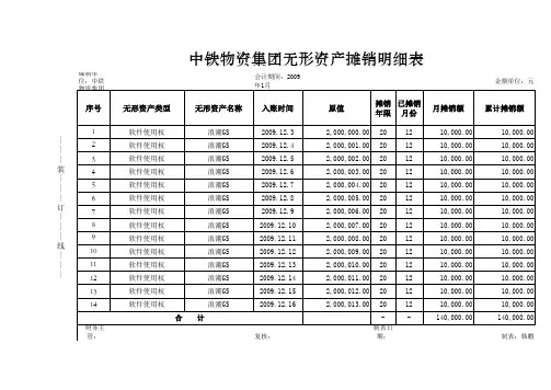 无形资产摊销明细表