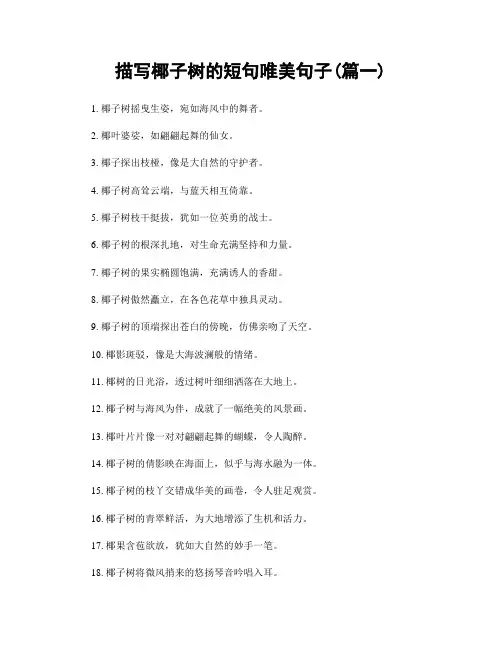 描写椰子树的短句唯美句子(精选合集2篇)