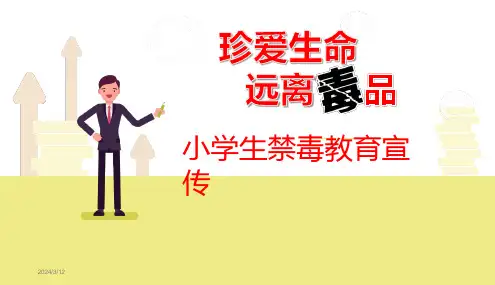 小学生禁毒教育宣传ppt