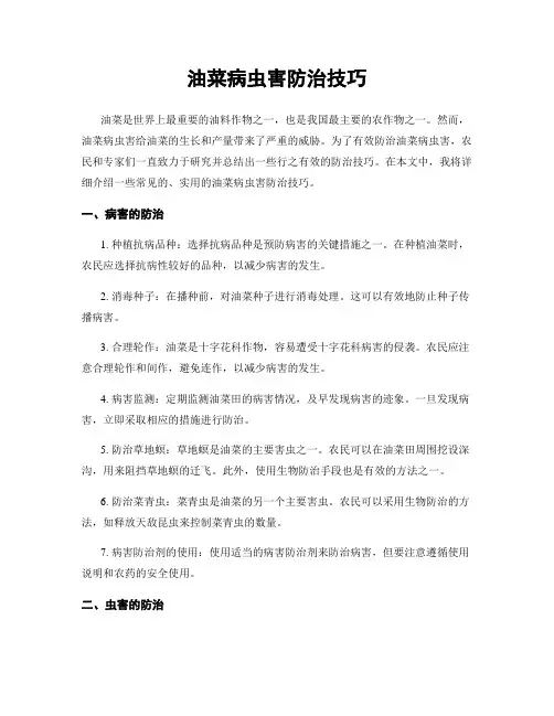 油菜病虫害防治技巧