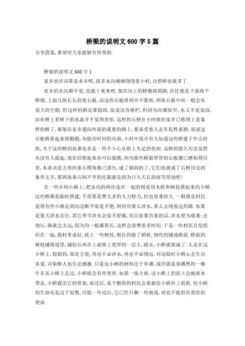 桥梁的说明文600字5篇