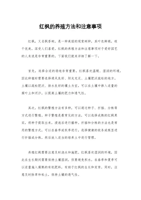 红枫的养殖方法和注意事项