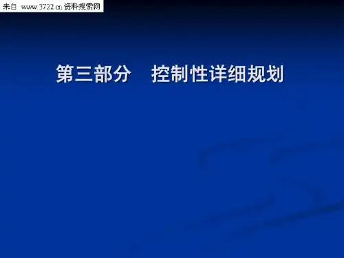 控制性详细规划  07