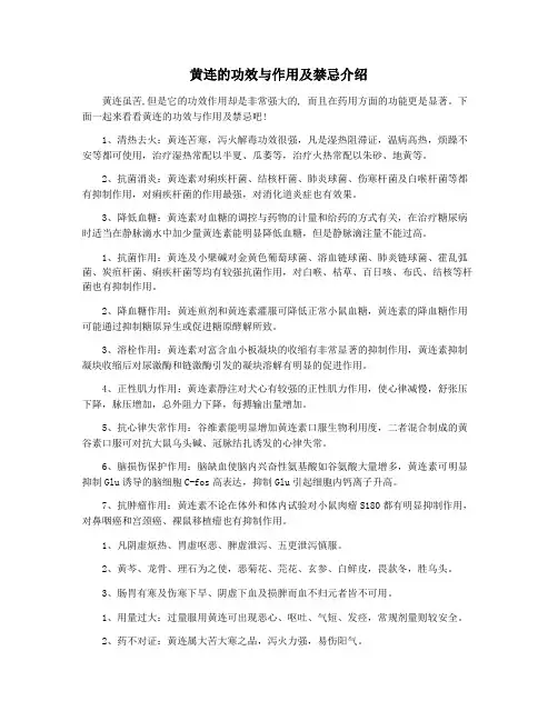 黄连的功效与作用及禁忌介绍