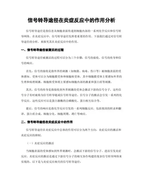 信号转导途径在炎症反应中的作用分析