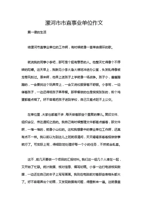 漯河市市直事业单位作文