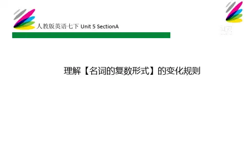 人教版英语七下 Unit 5 SectionA 理解【名词的复数形式】的变化规则