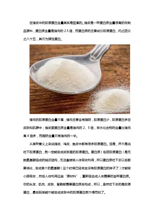 猪皮胶原蛋白含量高吗