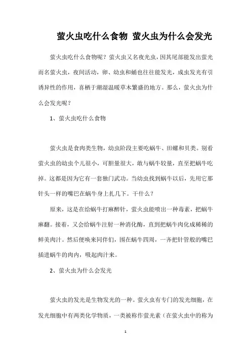 萤火虫吃什么食物萤火虫为什么会发光