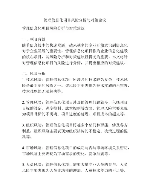 管理信息化项目风险分析与对策建议