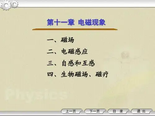 电磁现象