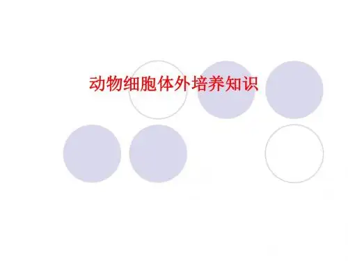 [课件]动物细胞体外培养知识PPT